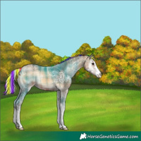 Horse Color:Painted Plaid  Silver Brown Ice Onyx Sabino 