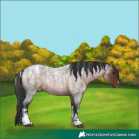 Horse Color:Powder White Brown Roan 
