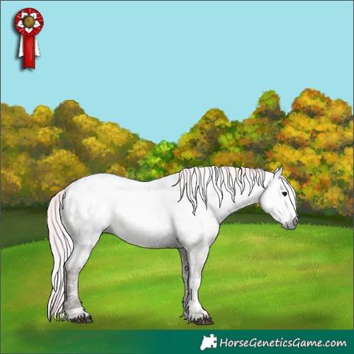 Horse Color:Gray Silver Black Ice Tobiano Blanket Rabicano 