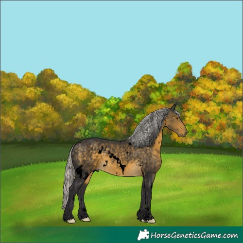 Horse Color:Void White Spotted Silver Buckskin Rabicano 