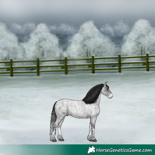 Horse Color:White Spotted Brown Ice Roan Rabicano 