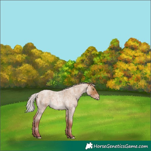 Horse Color:White Spotted Silver Sable Champagne Roan Mushroom 