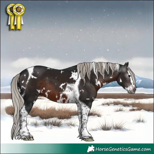 Horse Color:Gray White Spotted Silver Brown Splash Tobiano 