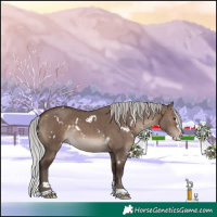 Horse Color:White Spotted Silver Brown Dun Mushroom Splash Tobiano