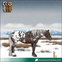 Horse Color:White Spotted Silver Brown Tobiano Appaloosa