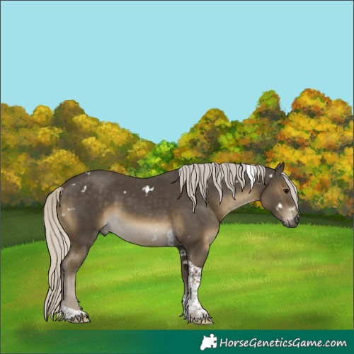 Horse Color:White Spotted Silver Smoky Black Tobiano 