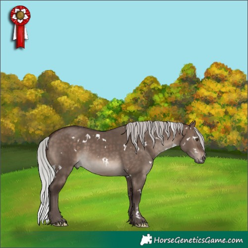 Horse Color:White Spotted Silver Brown Dun Mushroom 