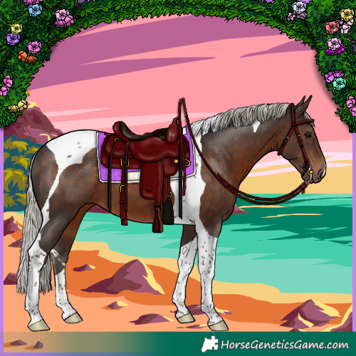 Horse Color:Silver Brown Tobiano