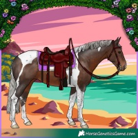 Horse Color:Silver Brown Tobiano 