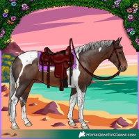 Horse Color:Silver Brown Tobiano 