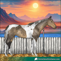 Horse Color:Silver Smoky Grullo Tobiano