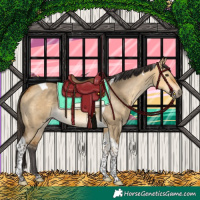 Horse Color:Buckskin Dun Tobiano