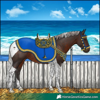 Horse Color:Silver Brown Tobiano Rabicano 