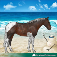 Horse Color:Silver Brown Tobiano Rabicano