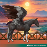 Horse Color:Silver Brown Tobiano 