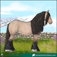 Horse Color:Bay Roan Dun