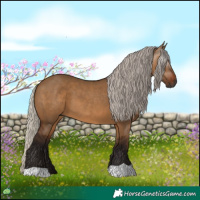Horse Color:Gray Silver Bay Dun 