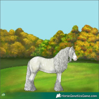 Horse Color:Watercolor White Spotted Silver Amber Champagne Ice Dun Splash Appaloosa 