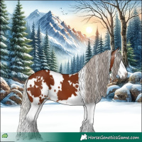 Horse Color:Gray White Spotted Silver Bay Splash 