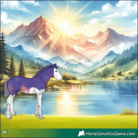 Horse Color:Watercolor Black Splash 