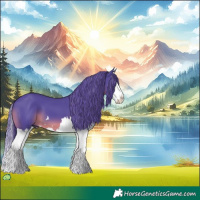 Horse Color:Watercolor Black Splash 
