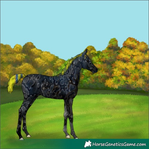 Horse Color:ERROR: UNKNOWN ANOMALY