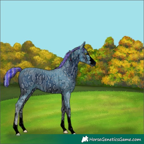 Horse Color:ERROR: UNKNOWN ANOMALY