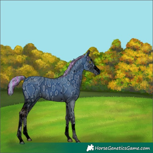 Horse Color:ERROR: UNKNOWN ANOMALY