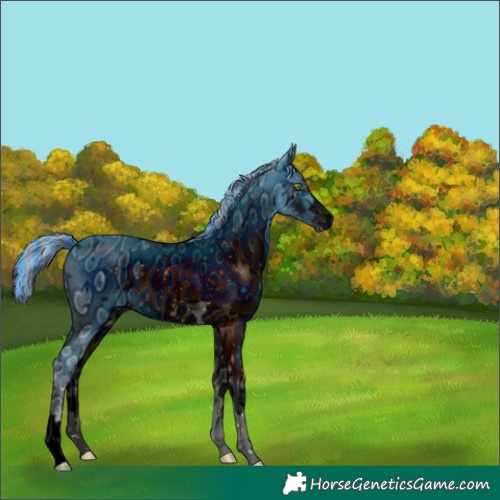 Horse Color:ERROR: UNKNOWN ANOMALY