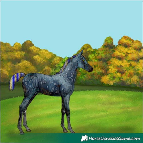 Horse Color:ERROR: UNKNOWN ANOMALY