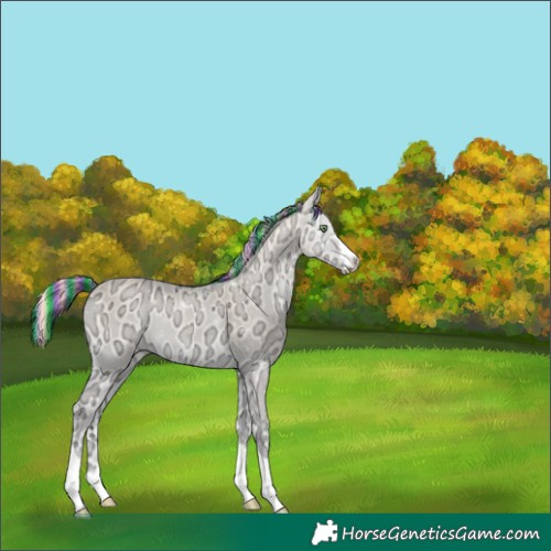 Horse Color:Painted Perlino Ice Onyx 