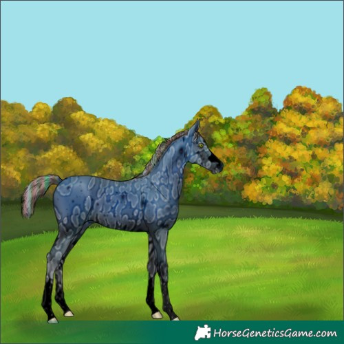 Horse Color:ERROR: UNKNOWN ANOMALY
