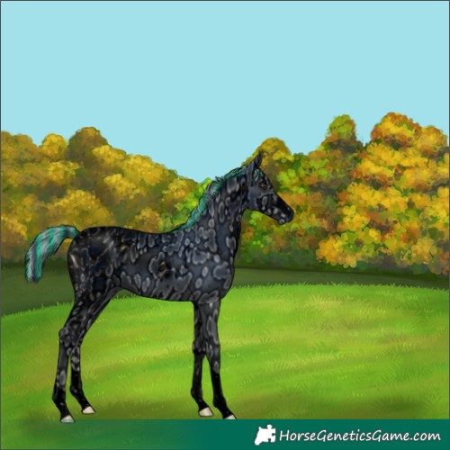 Horse Color:ERROR: UNKNOWN ANOMALY