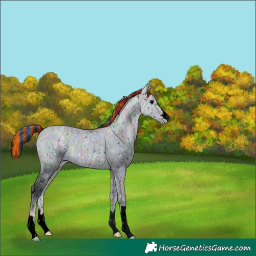 Horse Color:ERROR: UNKNOWN ANOMALY
