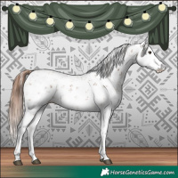 Horse Color:Chestnut Sabino 