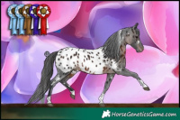 Horse Color:White Spotted Brown Tobiano Near Leopard 