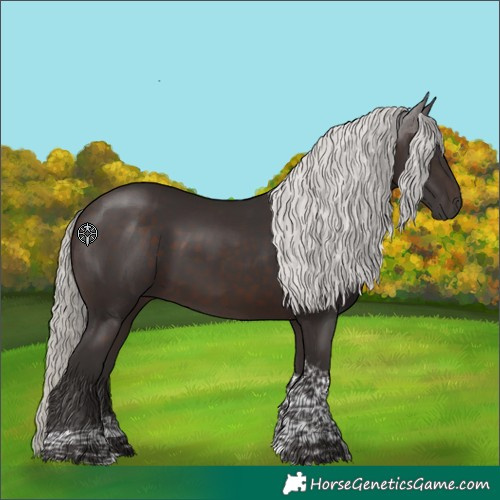 Horse Color:Silver Brown Tobiano 