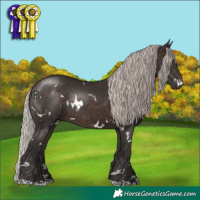 Horse Color:White Spotted Silver Brown Rabicano 