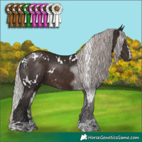 Horse Color:White Spotted Silver Brown 