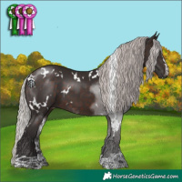 Horse Color:White Spotted Silver Brown