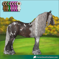 Horse Color:White Spotted Silver Brown 