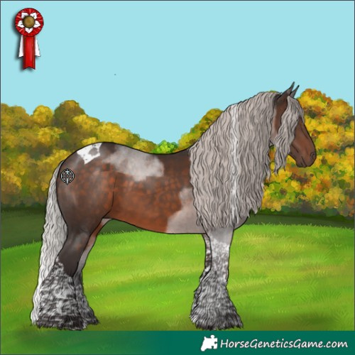 Horse Color:Silver Brown Tobiano 