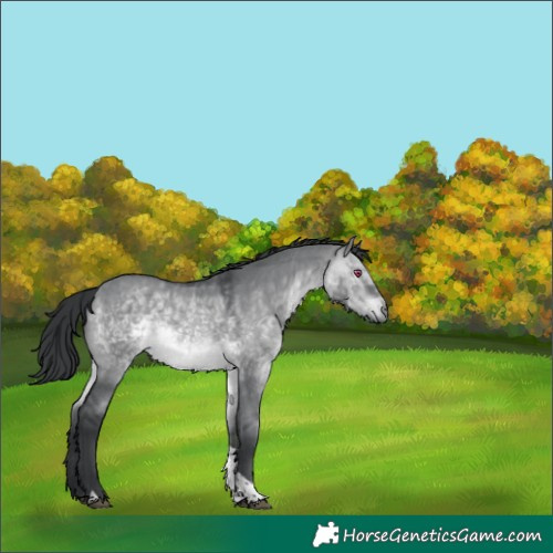Horse Color:Brown Chinchilla Dun Tobiano 