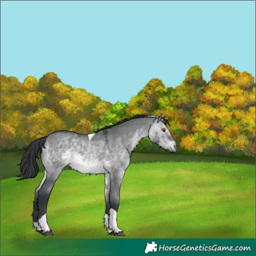 Horse Color:Brown Chinchilla Dun Tobiano 