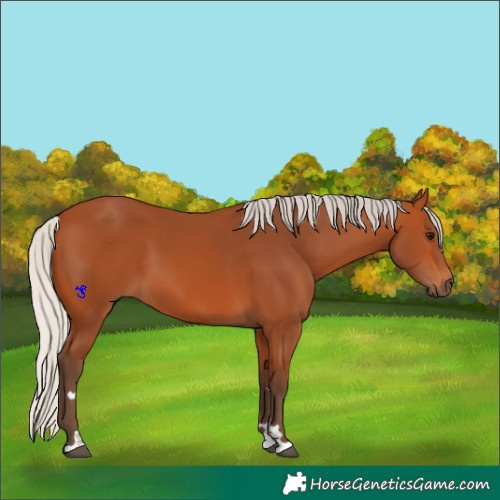 Horse Color:Silver Bay