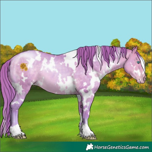 Horse Color:Watercolor White Spotted Buckskin Pearl 