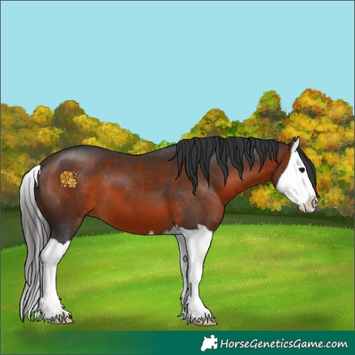 Horse Color:Brown Splash