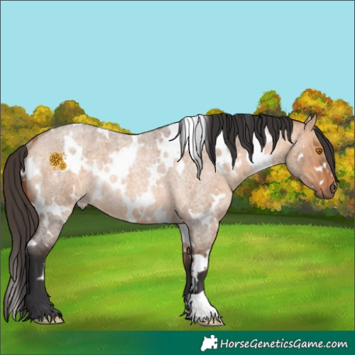 Horse Color:White Spotted Bay Roan Dun Rabicano 