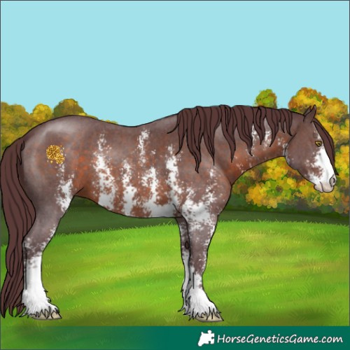 Horse Color:Chocolate Brown Sabino 
