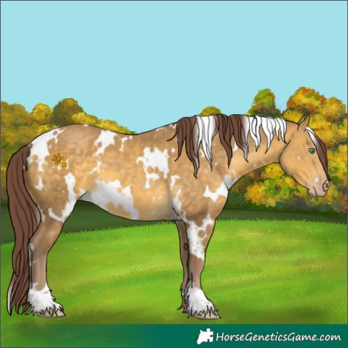 Horse Color:White Spotted Chocolate Sable Cream Champagne 